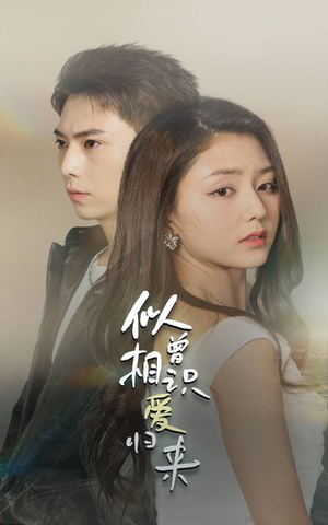 似曾相识爱归来（77集）精彩好看的短剧