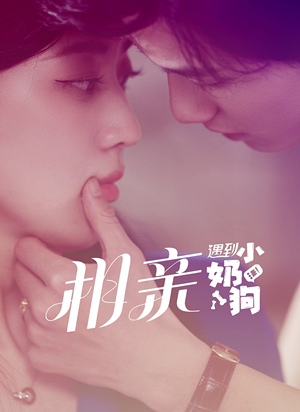 相亲遇到小奶狗（80集）免费版