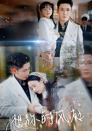 想你时风起（69集）短剧小说在线看