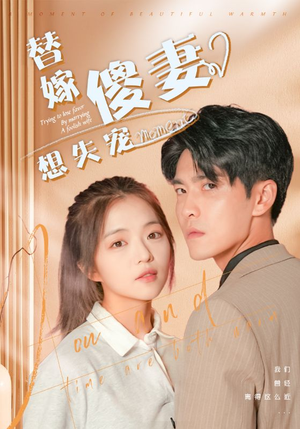 替嫁傻妻想失宠（93集）经典老剧免费看