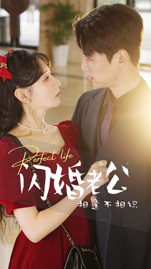 闪婚老公相逢不相识(90集) 闪婚老公相逢不相识(90集)夸克在线观看