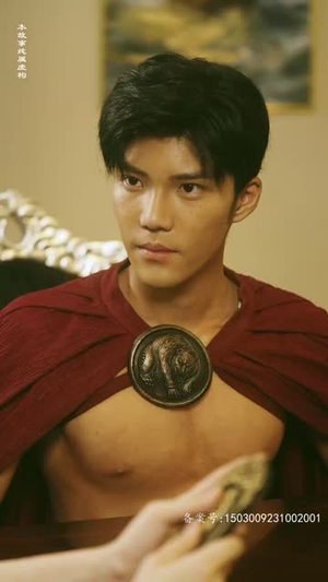 特工凤凰(绝色特工) 特工凤凰(绝色特工)观看软件