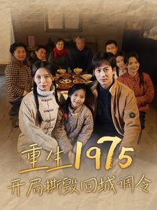 重生1975开局撕毁回城调令（83集）在线观看完整版
