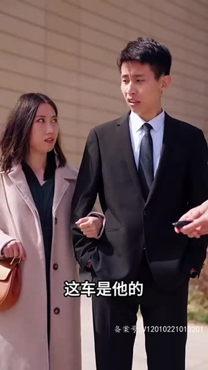 28.系统提示您的钱已到账（100集）抢先看热门短剧