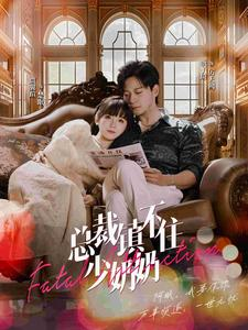 总裁镇不住少奶奶（101集）好看到停不下来