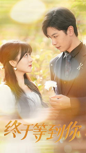 你是我的木槿年华(80集) 你是我的木槿年华(80集)爆款短剧追不停