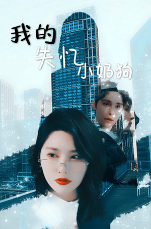 我的失忆小奶狗（64集）短剧推荐来了