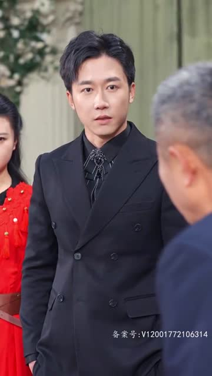 隐龙在世(84集) 隐龙在世(84集)大结局太过瘾了