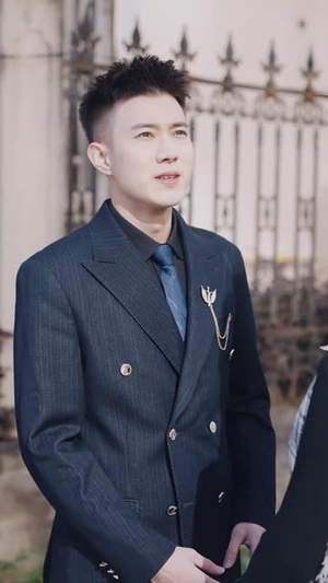 宝贝当家计划(101集) 宝贝当家计划(101集)短剧排行榜