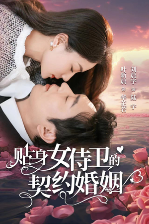 贴身女侍卫的契约婚姻(91集) 贴身女侍卫的契约婚姻(91集)第一集