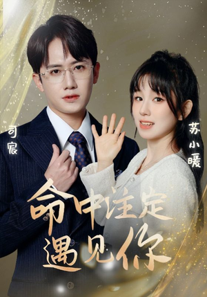 命中注定遇见你(96集) 命中注定遇见你(96集)看短剧放松一下