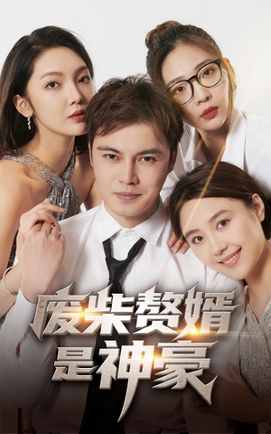 废柴赘婿是神豪(84集) 废柴赘婿是神豪(84集)免费短剧资源