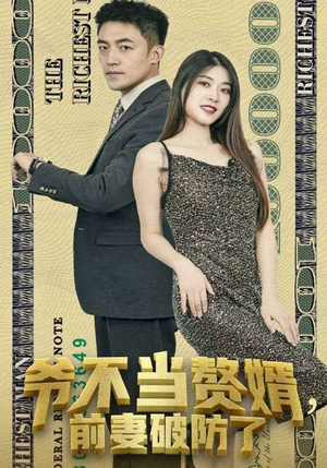 爷不当赘婿,前妻破防了(80集) 爷不当赘婿,前妻破防了(80集)超好看古装短剧