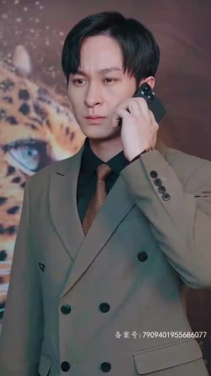 真假爱人(100集) 真假爱人(100集)火爆短剧来袭