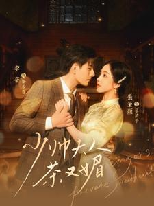 少帅夫人茶又媚(93集) 少帅夫人茶又媚(93集)解说文案