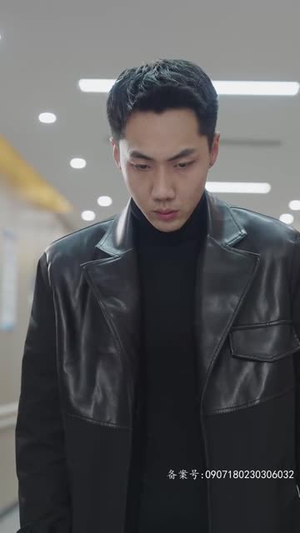 帝尊殿之飞龙天下（100集）短剧追不停