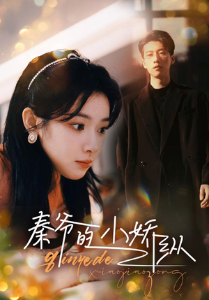 秦爷的小娇纵(96集) 秦爷的小娇纵(96集)短剧全集完整版