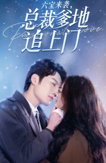 六宝来袭总裁爹地追上门（79集）一个短剧看全集