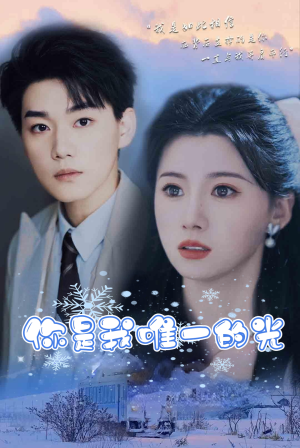 你是我唯一的光(95集) 你是我唯一的光(95集)第二季