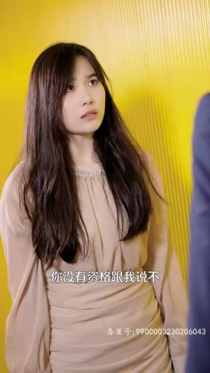 总裁夫人的双面身份(79集) 总裁夫人的双面身份(79集)原创精彩短剧