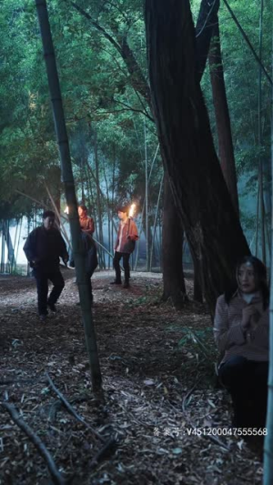 我的孩子,你在哪(65集) 我的孩子,你在哪(65集)在线免费观看