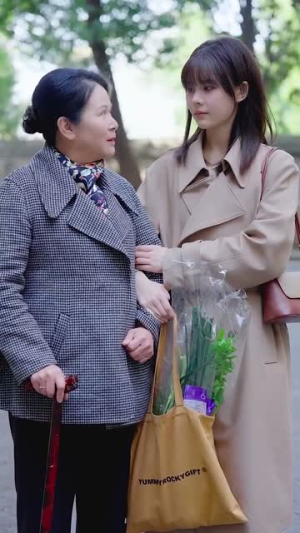 爱意随风散云霄(30集) 爱意随风散云霄(30集)西瓜短剧免费看