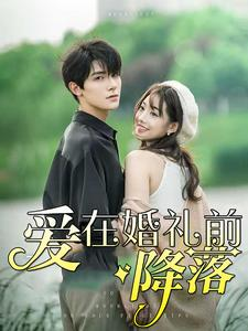 爱在婚礼前降落（50集）全网短剧抢先看