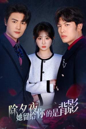 除夕夜她留给你的是背影(30集) 除夕夜她留给你的是背影(30集)第一集
