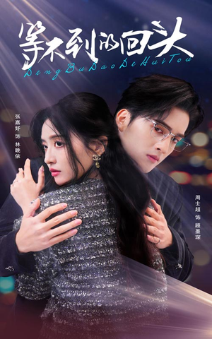 等不到的回头(35集) 等不到的回头(35集)最热短剧抢先看