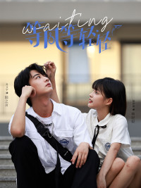 等风等轻轻(24集) 等风等轻轻(24集)全集下载