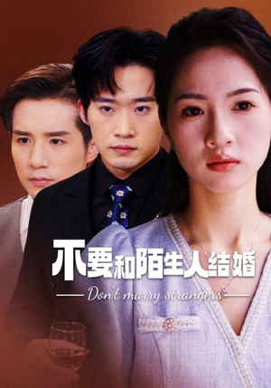 不要和陌生人结婚(90集) 不要和陌生人结婚(90集)全部免费看全集