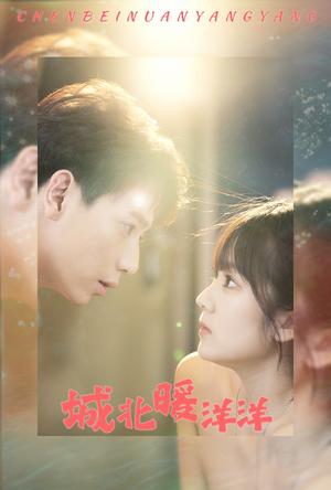 城北暖洋洋(60集) 城北暖洋洋(60集)短剧上热门