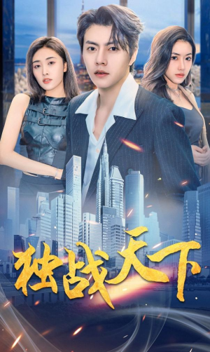 独战天下（73集）免费在线看全集