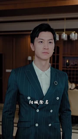 绝世潜龙(96集) 绝世潜龙(96集)全剧看到大结局