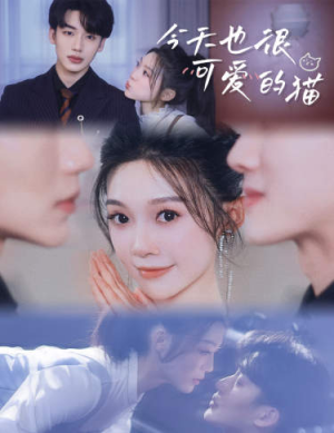 今天也很可爱的猫(72集) 今天也很可爱的猫(72集)去哪里看