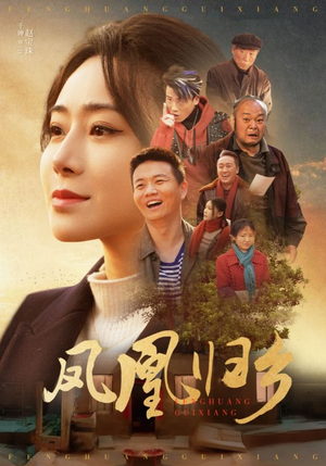 凤凰归乡(33集) 凤凰归乡(33集)我真的爱了