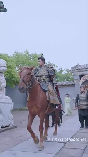 风林残月(82集) 风林残月(82集)短剧在哪里看