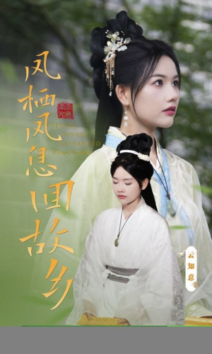 凤栖凤息回故乡(36集) 凤栖凤息回故乡(36集)精彩短剧天天看