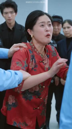 负我者自负（32集）全集在线看