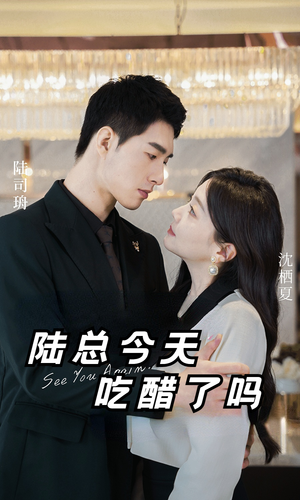 陆总今天吃醋了吗（50集）去哪里看