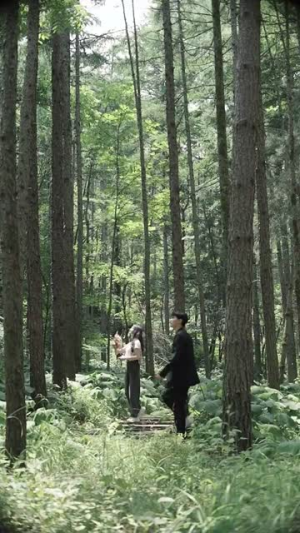 暮光落云川(42集) 暮光落云川(42集)怎么看全集