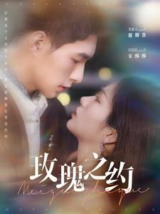 玫瑰之约(95集) 玫瑰之约(95集)全集一次看完