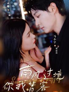 南风国境你我皆客(80集) 南风国境你我皆客(80集)全剧免费观看