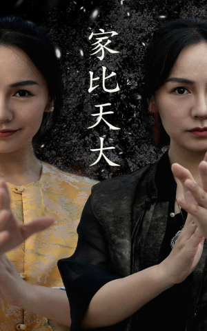 家比天大(63集) 家比天大(63集)精彩短剧热播中