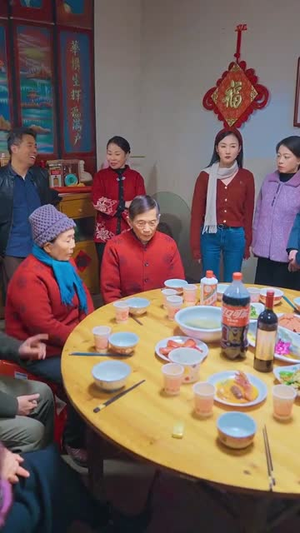 家和万事兴之蛇年阖家欢（66集）好看的短剧