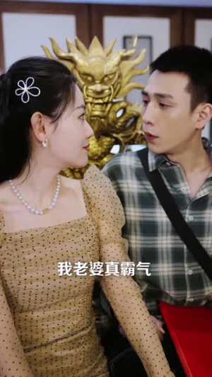 骄龙（88集）免费短剧看不停