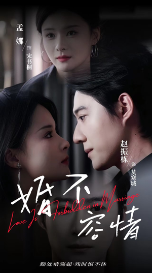 婚不容情(89集) 婚不容情(89集)最新火爆短剧