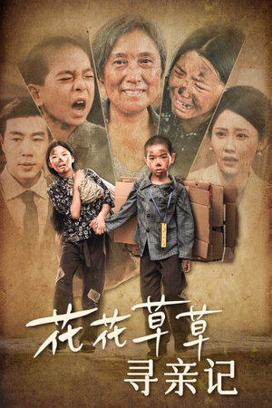 花花草草寻亲记(42集) 花花草草寻亲记(42集)海量资源免费看