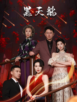 黑天鹅(51集) 黑天鹅(51集)热门火爆短剧