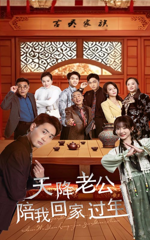 天降老公陪我回家过年（60集）在线播放